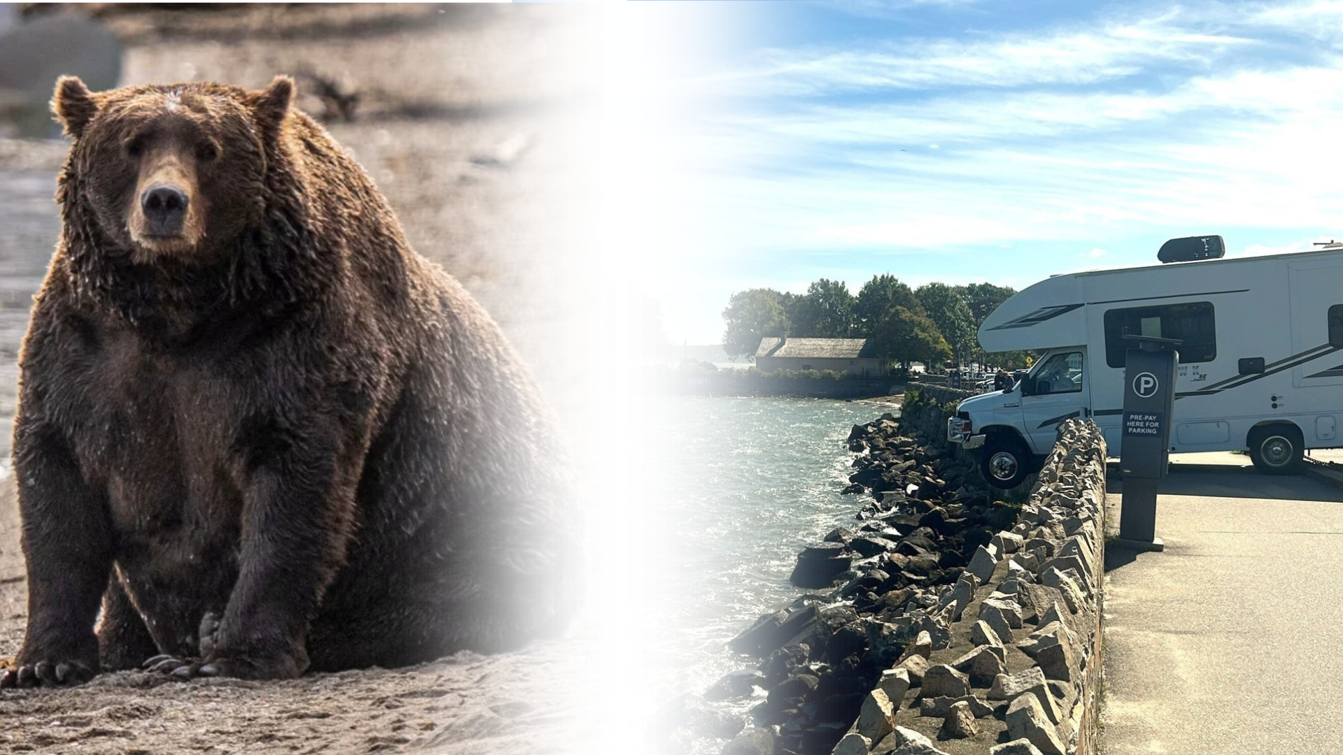fat bear and rv crash